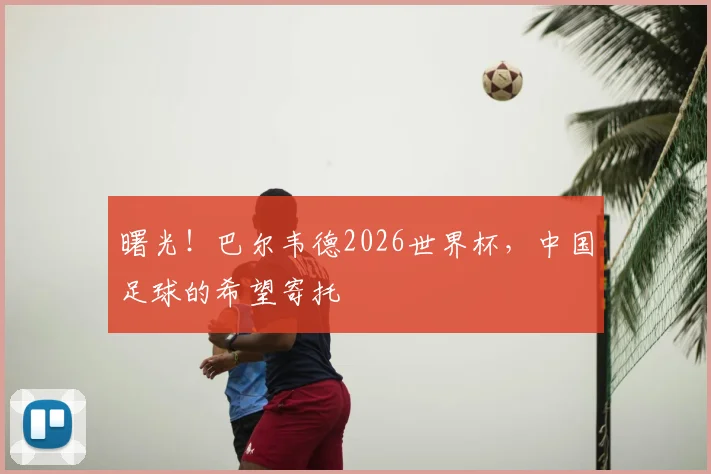 曙光!巴尔韦德2026世界杯,中国足球的希望寄托
