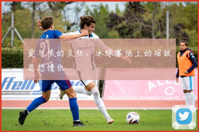 爱与恨的交织,冰球赛场上的宿敌恩怨情仇