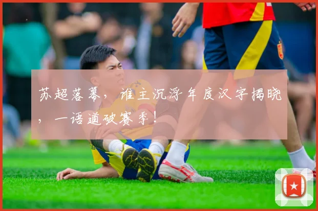 苏超落幕，谁主沉浮年度汉字揭晓，一语道破赛季！