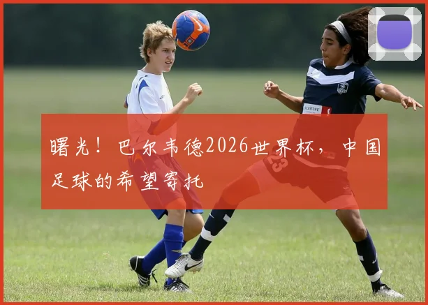 曙光！巴尔韦德2026世界杯，中国足球的希望寄托